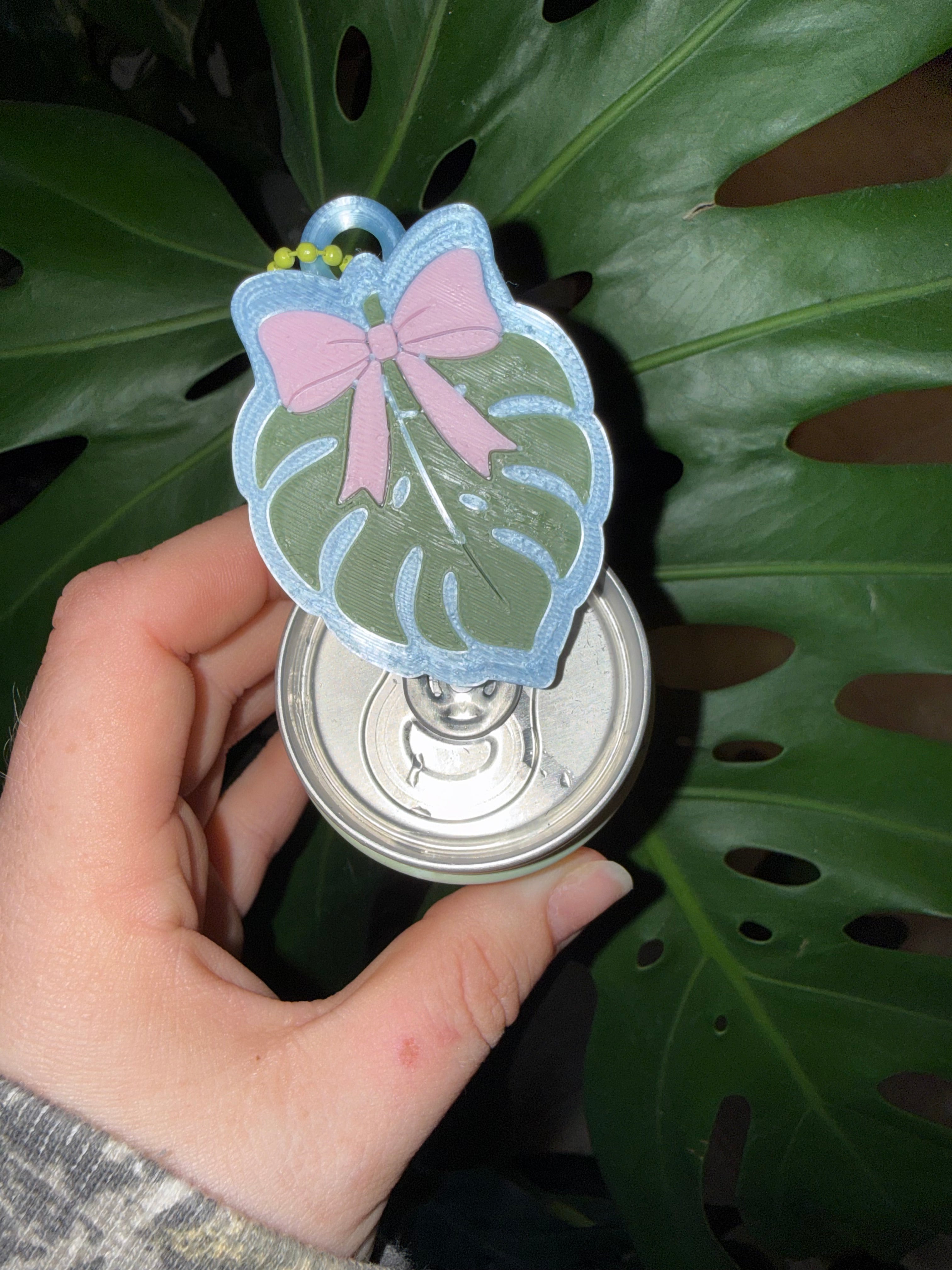 Coquette Monstera